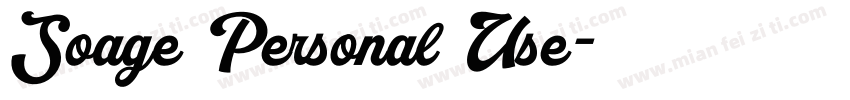 Soage Personal Use字体转换